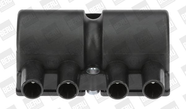 bobina de inductie ZS545 BorgWarner (BERU)