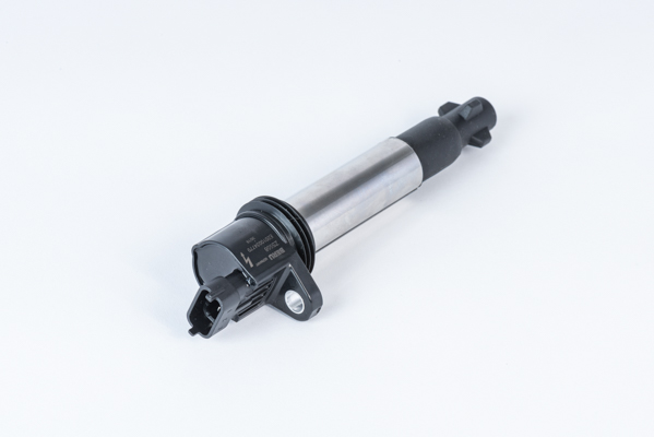 bobina de inductie ZS558 BorgWarner (BERU)