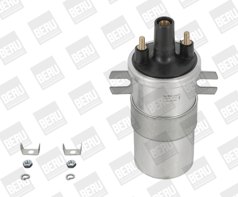bobina de inductie ZS564 BorgWarner (BERU)