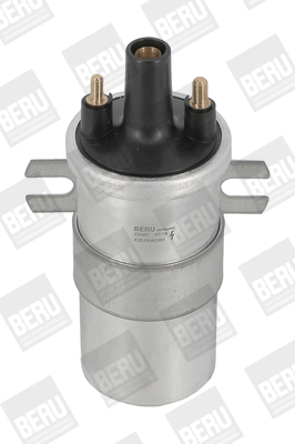 bobina de inductie ZS565 BorgWarner (BERU)