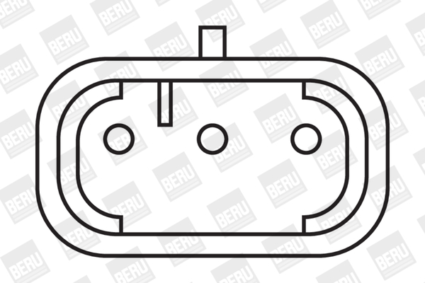 bobina de inductie ZSE027 BorgWarner (BERU)