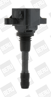 bobina de inductie ZSE066 BorgWarner (BERU)