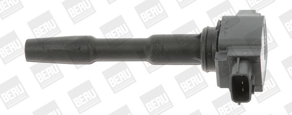 Bobina de inductie ZSE131 BorgWarner (BERU)