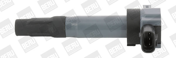 bobina de inductie ZSE189 BorgWarner (BERU)