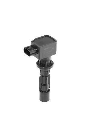 bobina de inductie ZSE217 BorgWarner (BERU)