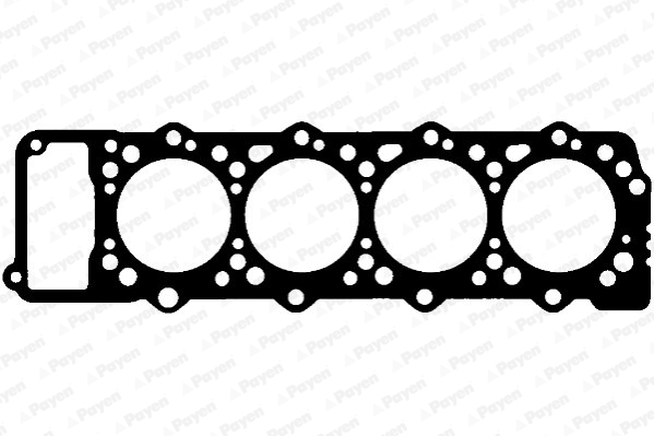 Garnitura, chiulasa AA5020 PAYEN