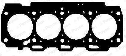 Garnitura, chiulasa AA5571 PAYEN