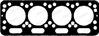 Garnitura, chiulasa AN010 PAYEN