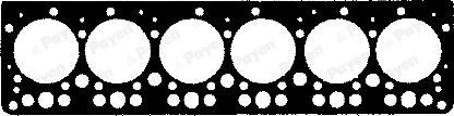 Garnitura, chiulasa AS411 PAYEN