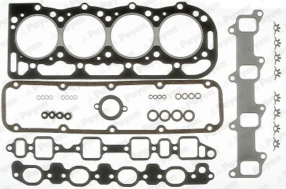 Set garnituri, chiulasa DS990 PAYEN