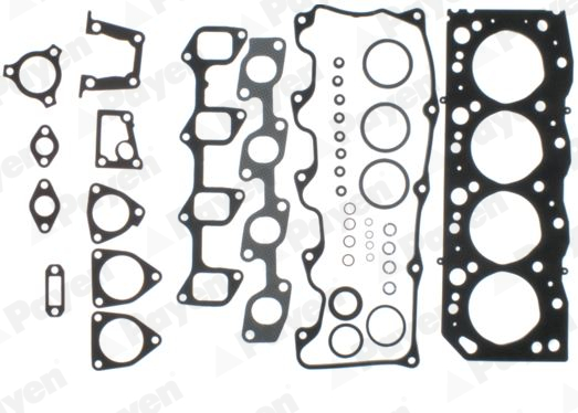 Set garnituri, chiulasa DW801 PAYEN