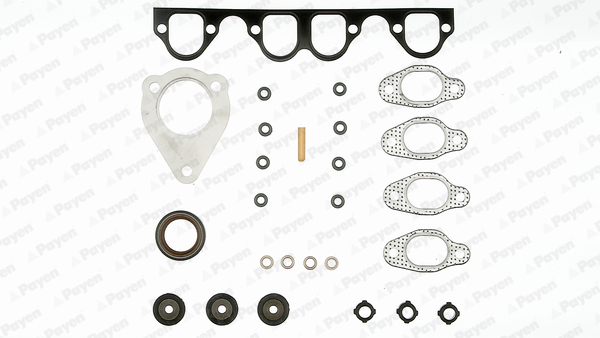 Set garnituri, chiulasa DZ010 PAYEN