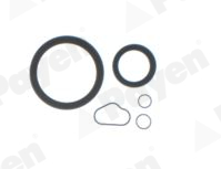 Set garnituri, carter EG5810 PAYEN