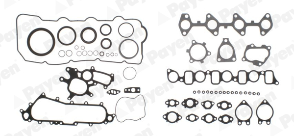 Set garnituri complet, motor FF5980 PAYEN