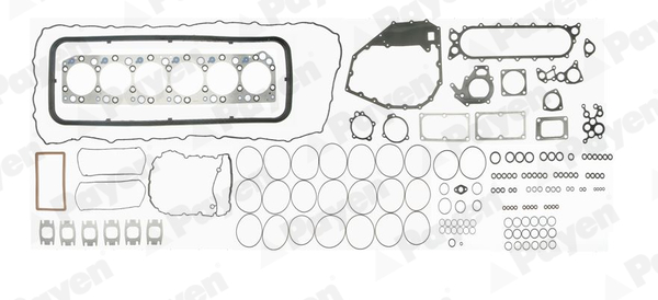 Set garnituri complet, motor FG9360 PAYEN
