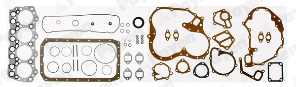 Set garnituri complet, motor GM890 PAYEN