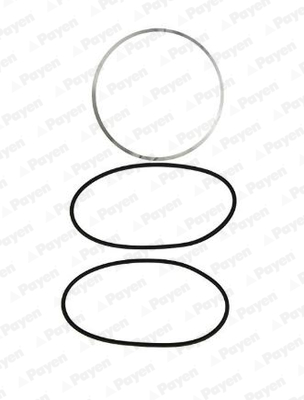 Set garnituri, bucsa cilindru HL5077 PAYEN