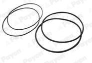 Set garnituri, bucsa cilindru HL5378 PAYEN