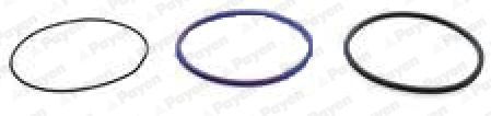 Set garnituri, bucsa cilindru HL5379 PAYEN