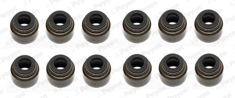 Set garnituri, ax supape HR5128 PAYEN