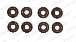 Set garnituri, ax supape HR5132 PAYEN