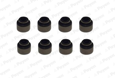 Set garnituri, ax supape HR5134 PAYEN