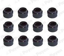 Set garnituri, ax supape HR5143 PAYEN