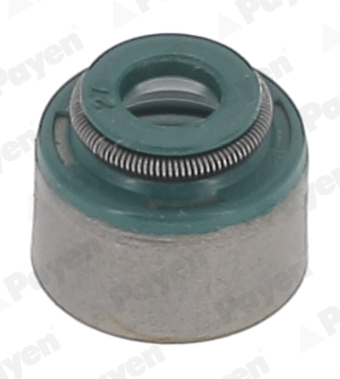 Set garnituri, ax supape HR5151 PAYEN