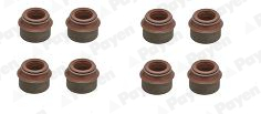 Set garnituri, ax supape HR569 PAYEN