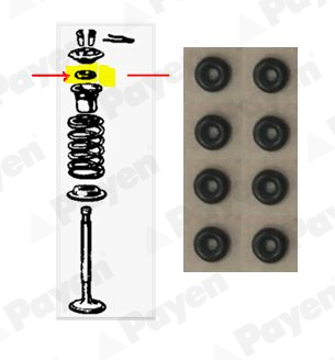 Set garnituri, ax supape HR619 PAYEN