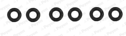 Set garnituri, ax supape HR638 PAYEN
