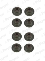 Set garnituri, ax supape HR661 PAYEN