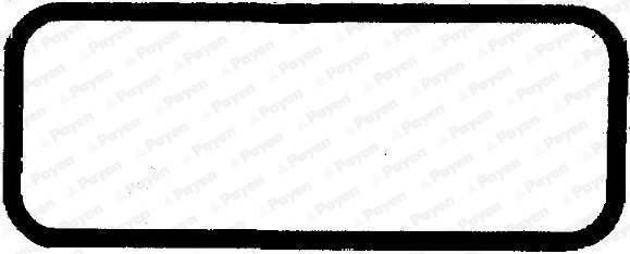 Garnitura baie ulei JH5001 PAYEN