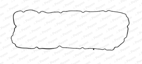 Garnitura baie ulei JH5073 PAYEN