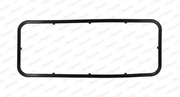 Garnitura baie ulei JH5169 PAYEN