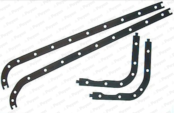 Garnitura baie ulei JJ135 PAYEN