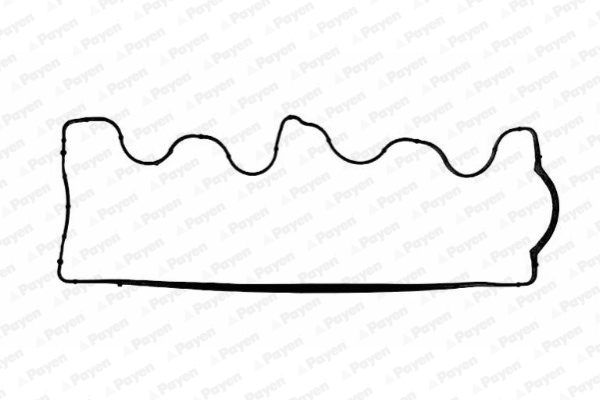 Garnitura, capac supape JM5028 PAYEN