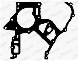 Garnitura, distributie JR5029 PAYEN