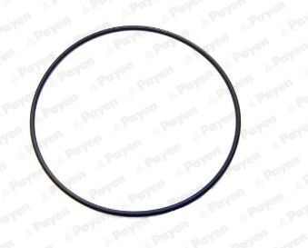 O-ring, camasa cilindru LA5235 PAYEN
