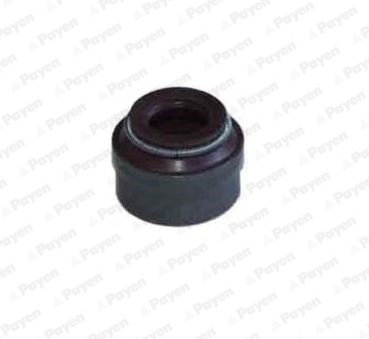 Etansare, supape PA6110 PAYEN