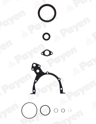Set garnituri, carter EB5541 PAYEN