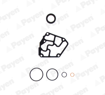 Set garnituri, carter EC060 PAYEN
