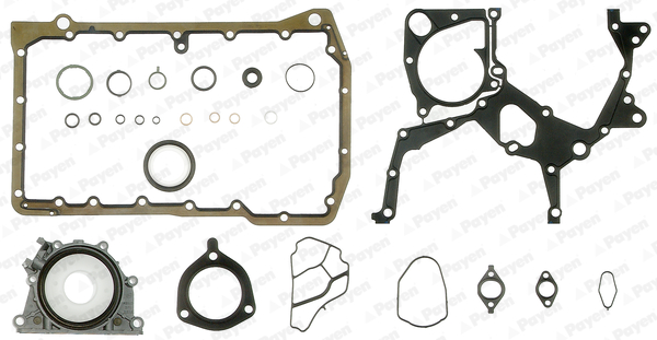 Set garnituri, carter EC5410 PAYEN
