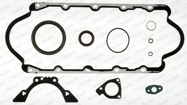 Set garnituri, carter EC5800 PAYEN