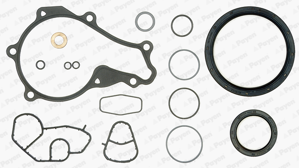 Set garnituri, carter ED5130 PAYEN