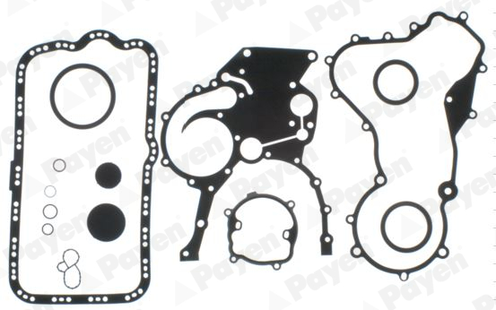 Set garnituri, carter EE5220 PAYEN