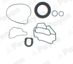 Set garnituri, carter EG8500 PAYEN