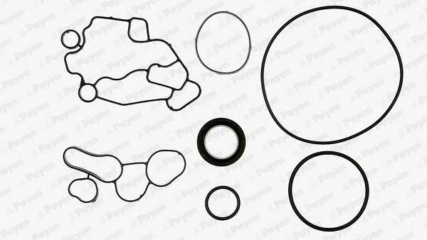 Set garnituri, carter EG9600 PAYEN
