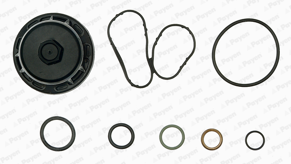 Set garnituri, carter EG9760 PAYEN