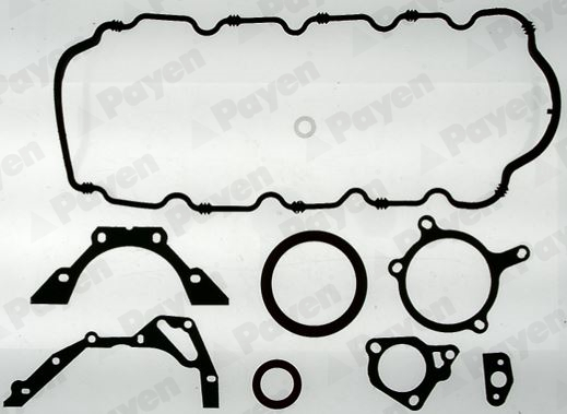 Set garnituri, carter EW630 PAYEN